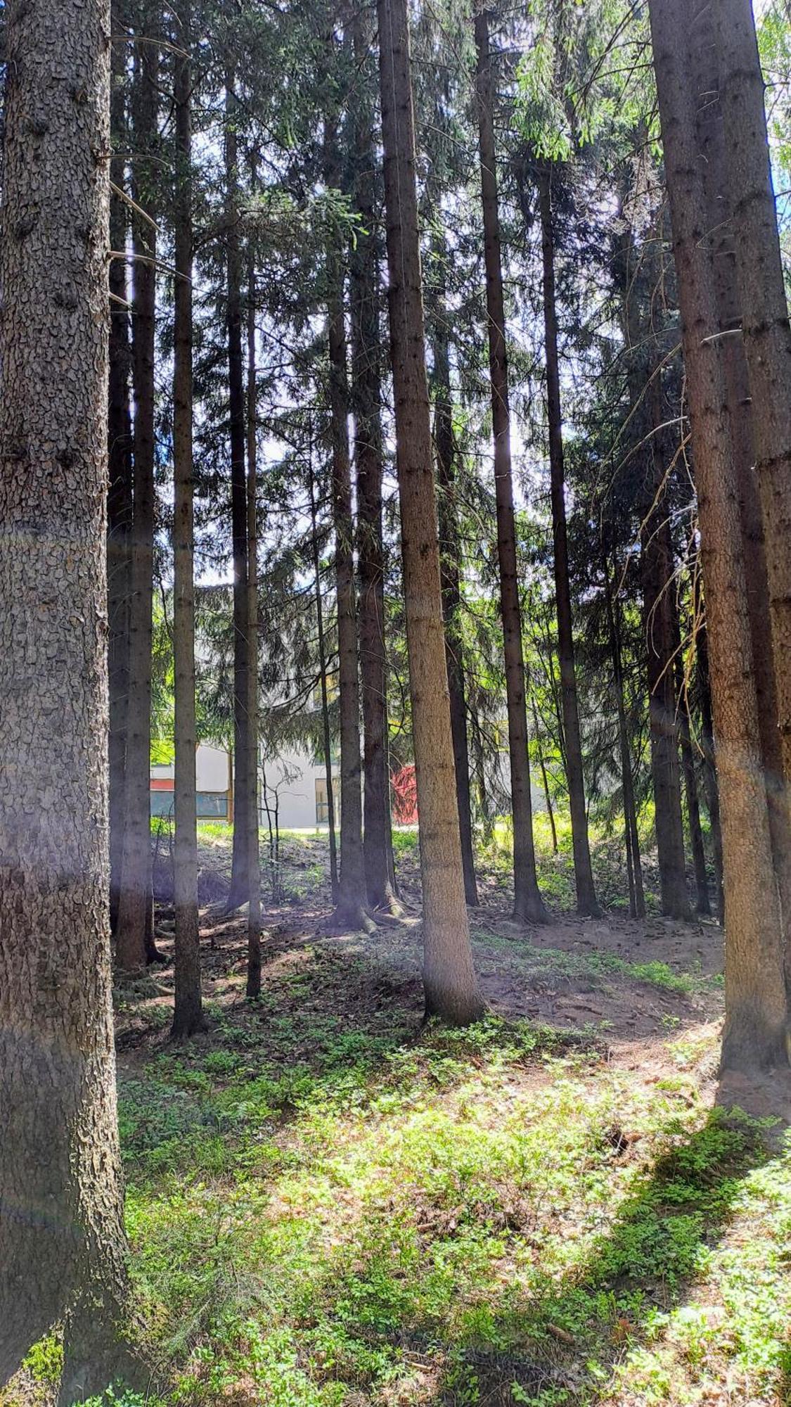 Plne Vybaveny Apartman Pod Mumlavskym Vodopadem, Zahrada S Ohnistem, Idealni Vychozi Bod Pro Turistiku, U Cesty Na Hrebeny, Kousek Do Centra, Absolutni Klid, Vybaveny I Pro Deti, Wellness A Fitko Naproti Harrachov Kültér fotó